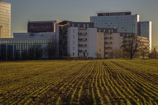 Immobilier : Comment reconnaître un terrain à fort potentiel ?